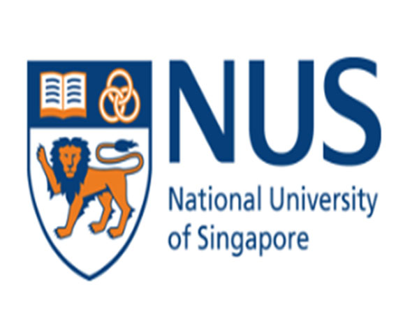 新加坡国立大学 （National University of Singapore)